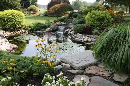 Small Garden Pond Design