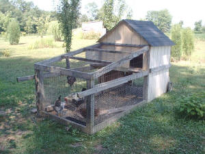 Check out this portable chicken coop I built for my grandson