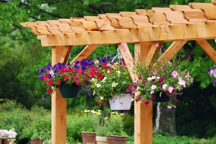 free trellis plans