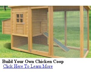 build your own chicken coop