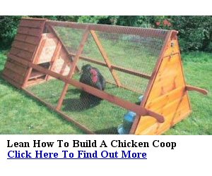 chicken sheds